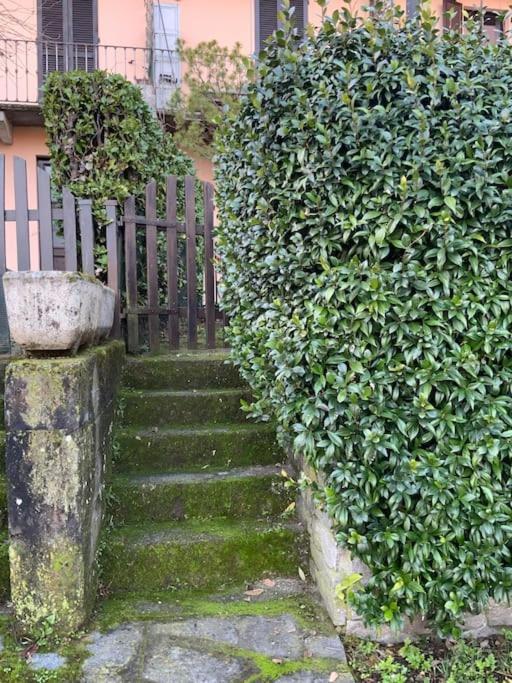 Villa Giardino Con Pontile Sul Lago D'Orta In Riva Orta San Giulio Dış mekan fotoğraf